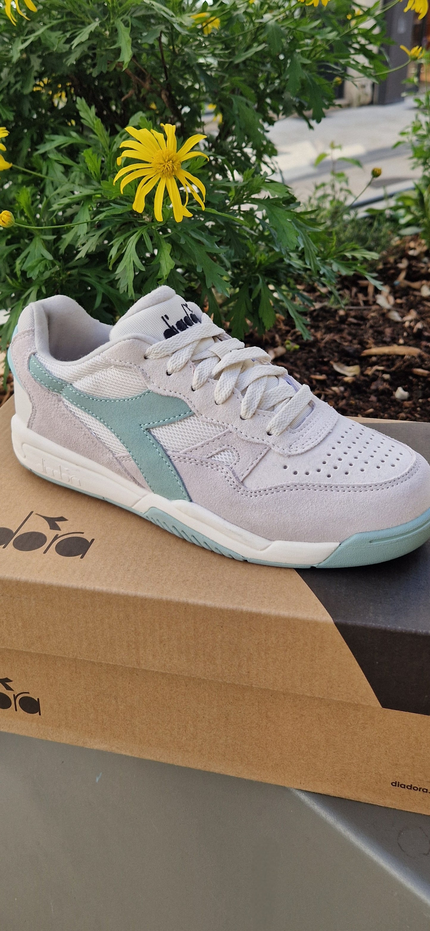 Basket Winner Creamy Wn Diadora