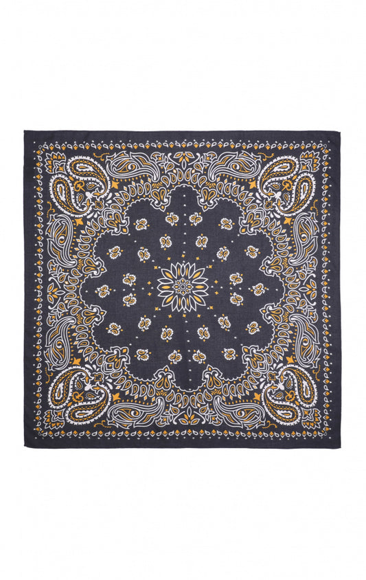 Foulard Medium "Paisley" Wild