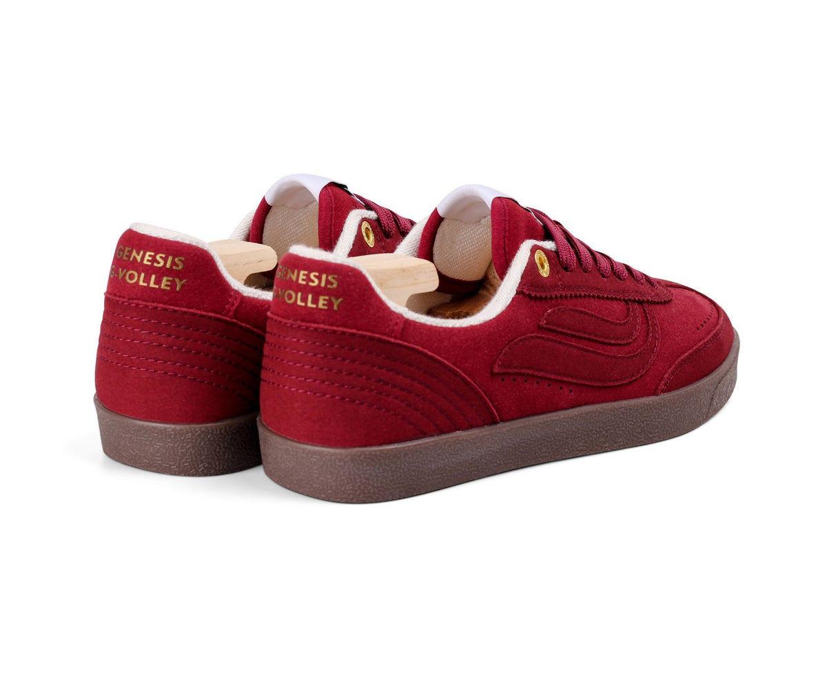 Baskets "G-VOLLEY" coloris bordeaux chez Genesis